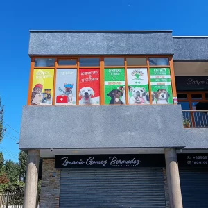 Adhesivo microperforado